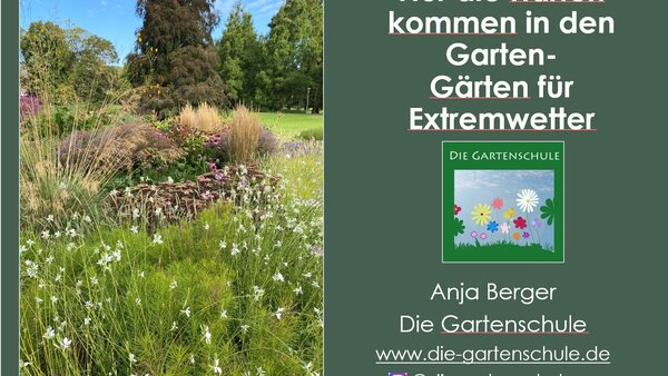 Nur die Harten kommen in den Garten - Stauden und Sträucher mit großer Standorttoleranz