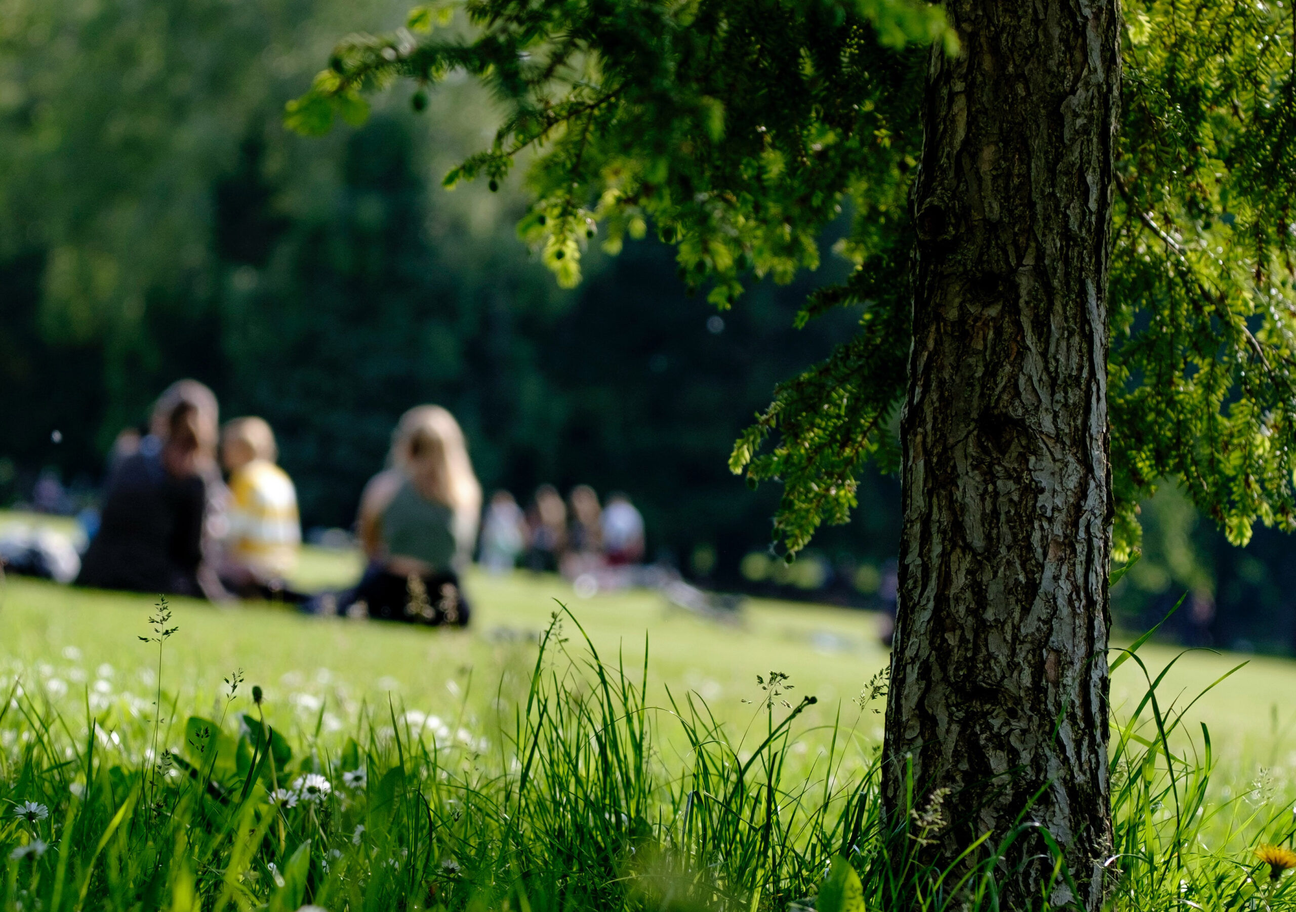 Landesgartenschau Neuss 2026: Isometrie des zukünftigen Neusser Bürgerparks | Bild: Franz Reschke Landschaftsarchitektur 