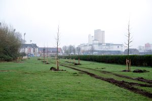 Baumpflanzarbeiten auf dem Gelände der Landesgartenschau Neuss 2026 | Foto: LAGA26, E.Berg