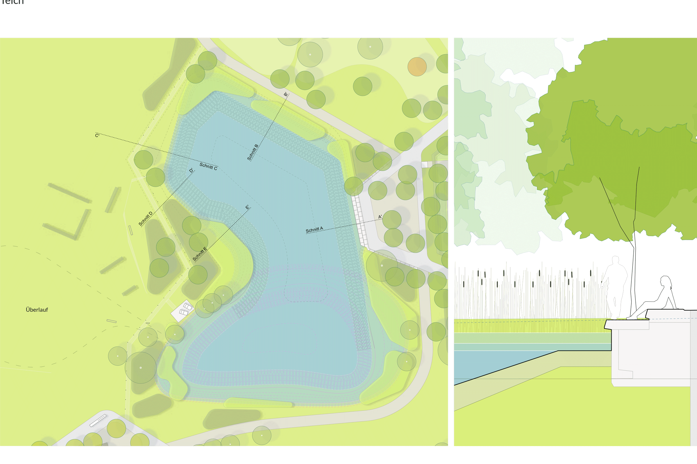 Durch die Erweiterung des nördlichen der beiden Wiesenteiche entsteht eine große und zusammenhängende Wasserfläche im Park. © FRL